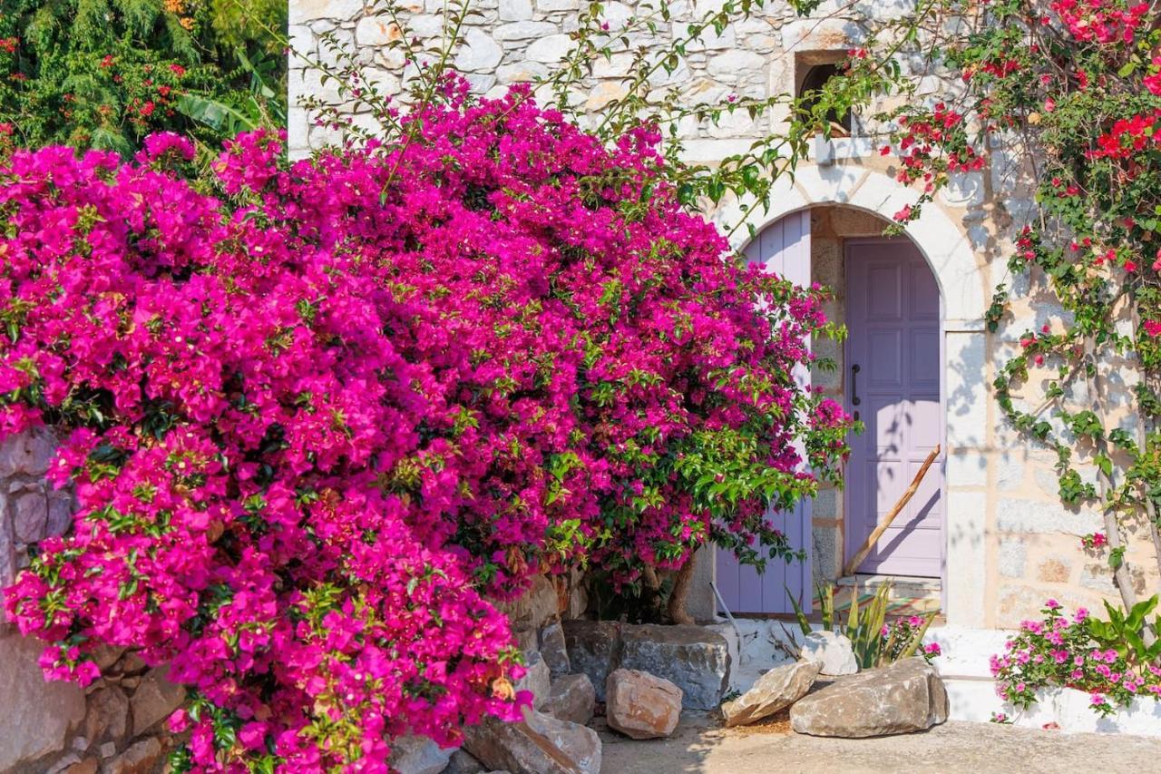Iliana'S House - Spacious Cave House In The Center Of Areopolis エクステリア 写真