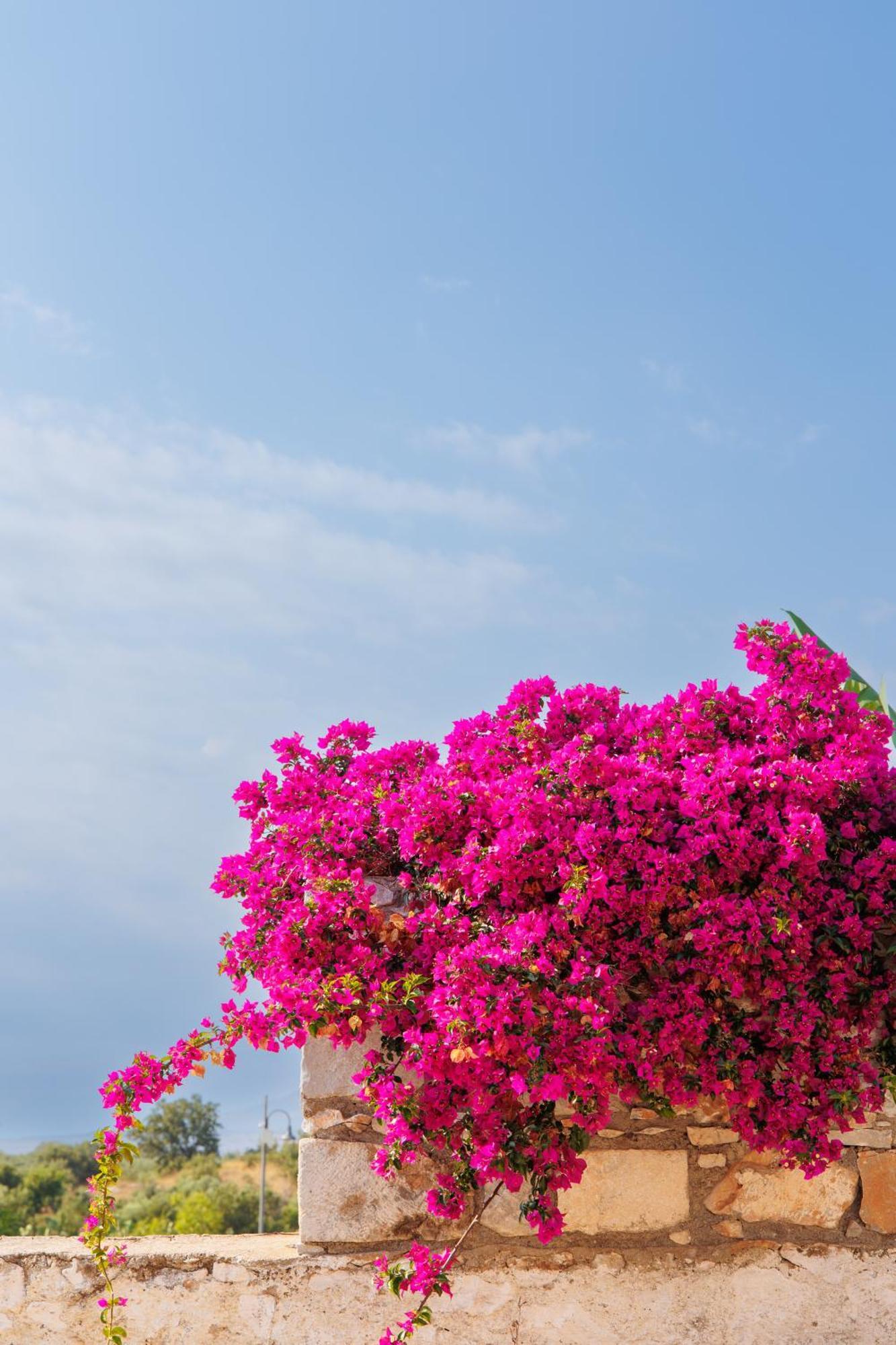 Iliana'S House - Spacious Cave House In The Center Of Areopolis エクステリア 写真